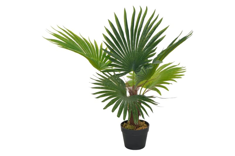 Konstväxt Palm med kruka 70 cm grön - Grön - Konstväxt & plastblommor - Blomsterdekoration