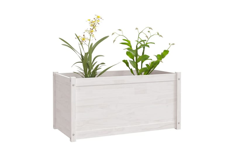 Odlingslådor 2 st vit 100x50x50 cm massiv furu - Vit - Utomhuskruka - Blomlåda & balkonglåda