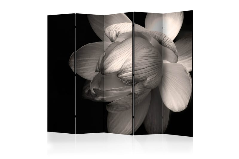 Rumsavdelare - Lotus flower II 225x172 - Artgeist sp. z o. o. - Rumsavdelare - Vikvägg