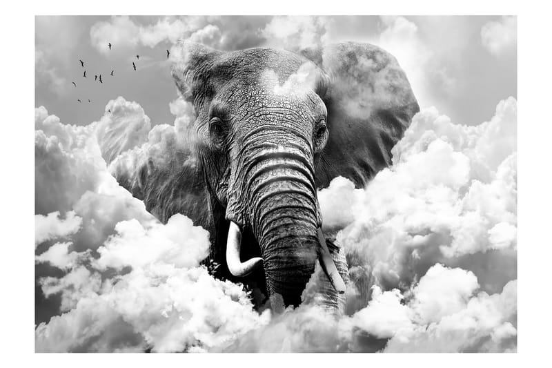 Fototapet Elephant In The Clouds Black And White 400x280 - Artgeist sp. z o. o. - Tapeter vardagsrum - Fototapet - Kökstapeter - Tapeter sovrum & sovrumstapet
