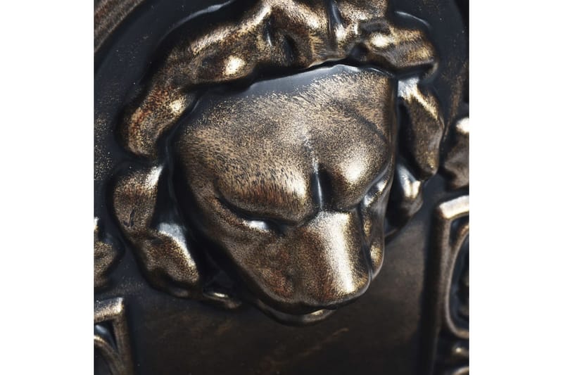 Väggfontän lejonhuvud brons - Brons - Väggdekor