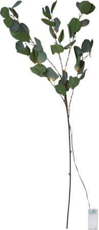 Eucalyptus Dekorationskvist 30 cm - grön - Belysning - Dekorationsbelysning - Dekorationsbelysning inomhus - Ljuslist