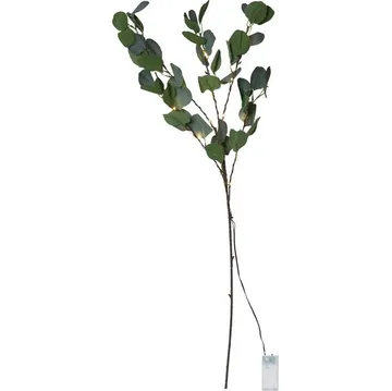 Eucalyptus Dekorationskvist 30 cm - grön - Belysning - Dekorationsbelysning - Dekorationsbelysning inomhus - Ljuslist