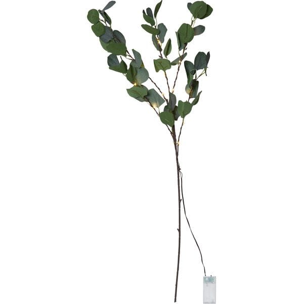 Eucalyptus Dekorationskvist 30 cm - grön - Belysning - Dekorationsbelysning - Dekorationsbelysning inomhus - Ljuslist