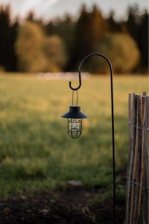 Cage Solcellsdekoration 18 cm - svart - Belysning - Dekorationsbelysning - Dekorationsbelysning utomhus - LED belysning utomhus