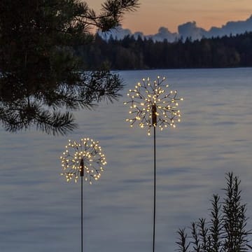 Firework Solar Solcellsdekoration 85 cm - svart - Belysning - Dekorationsbelysning - Dekorationsbelysning utomhus - LED belysning utomhus