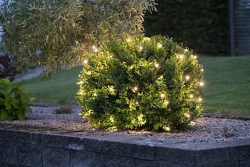 LED-ljusnät Jul Crispy Ice White 200x200 cm 160 ljus - Svart - Belysning - Dekorationsbelysning - Dekorationsbelysning utomhus - Ljusslinga utomhus