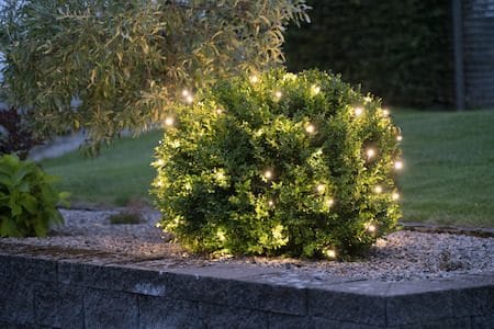 LED-ljusnät Jul Crispy Ice White 200x200 cm 160 ljus - Svart - Belysning - Dekorationsbelysning - Dekorationsbelysning utomhus - Ljusslinga utomhus