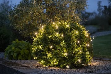 LED-ljusnät Jul Crispy Ice White 200x200 cm 160 ljus - Svart - Belysning - Dekorationsbelysning - Dekorationsbelysning utomhus - Ljusslinga utomhus