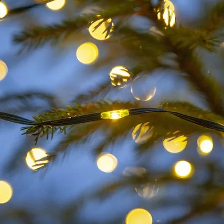 LED-ljusslinga Jul Dew Drop Micro 15 m 200 ljus Varmvit - Grön - Belysning - Dekorationsbelysning - Dekorationsbelysning utomhus - Ljusslinga utomhus
