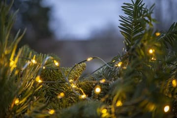 LED-ljusslinga Jul Dew Drop Micro 7 m 96 ljus Varmvit Batteridriven - Grön - Belysning - Dekorationsbelysning - Dekorationsbelysning utomhus - Ljusslinga utomhus