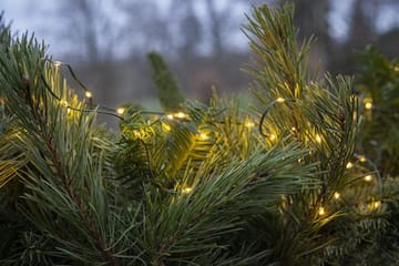 LED-ljusslinga Jul Dew Drop Micro 7 m 96 ljus Varmvit Batteridriven - Grön - Belysning - Dekorationsbelysning - Dekorationsbelysning utomhus - Ljusslinga utomhus