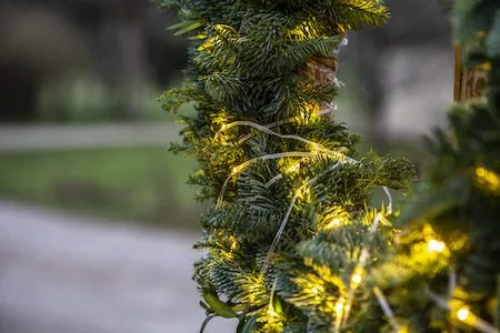 LED-ljusslinga Jul Dew Drop Micro 7 m 96 ljus Varmvit Batteridriven - Transparent - Belysning - Dekorationsbelysning - Dekorationsbelysning utomhus - Ljusslinga utomhus