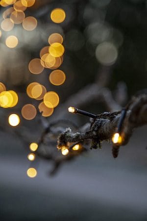 LED-ljusslinga Jul Flashy 21 m 300 ljus Varmvit - Svart - Belysning - Dekorationsbelysning - Dekorationsbelysning utomhus - Ljusslinga utomhus