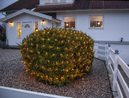 Ljusnät jul Golden Warm White 2x2 m 160 ljus - Svart - Belysning - Dekorationsbelysning - Dekorationsbelysning utomhus - Ljusslinga utomhus