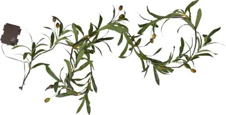 Olivec Girland, grön med brun kabel