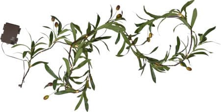 Olivec Girland - grön med brun kabel - Belysning - Dekorationsbelysning - Dekorationsbelysning utomhus - Ljusslinga utomhus