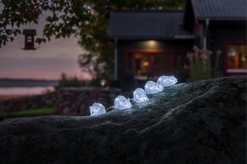 Möss akryl 5st LED Transparent - Konstsmide - Dekorationsbelysning - Dekorationsbelysning inomhus