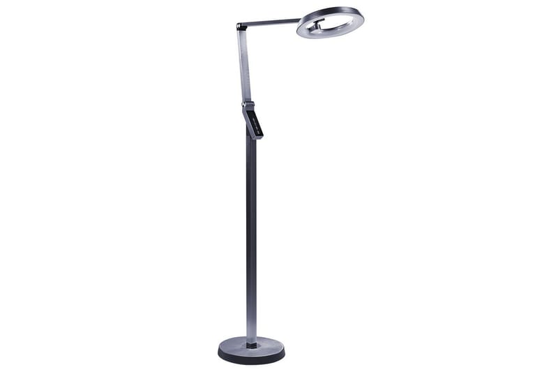 Anticar LED Golvlampa 170 cm - Mörkgrå - Belysning - Lampor & belysning inomhus - Golvlampa