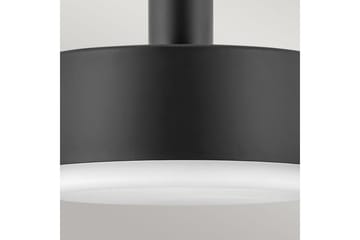 Cedric Hinkley Taklampa - Brass - Belysning - Lampor & belysning inomhus - Fönsterlampa