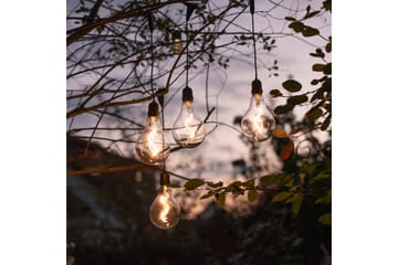 Enni Just Light Taklampa - Black - Belysning - Lampor & belysning inomhus - Fönsterlampa