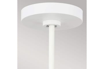 Hänglampa Feiss Darwin - Belysning - Lampor & belysning inomhus - Fönsterlampa