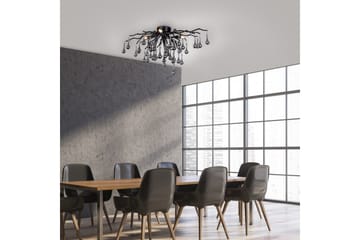 Istapp Paul Neuhaus Taklampa - Black - Belysning - Lampor & belysning inomhus - Fönsterlampa