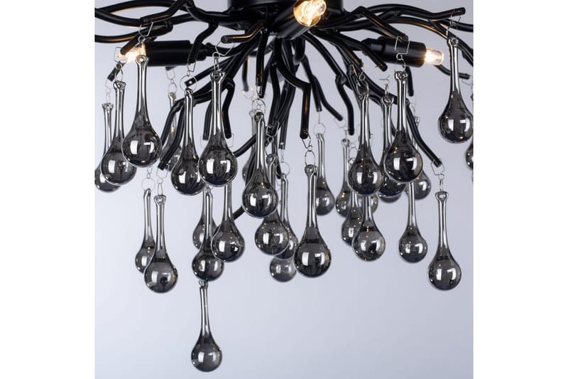 Istapp Paul Neuhaus Taklampa - Black - Belysning - Lampor & belysning inomhus - Fönsterlampa