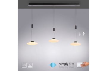 Lautada Paul Neuhaus Taklampa - Black - Belysning - Lampor & belysning inomhus - Fönsterlampa