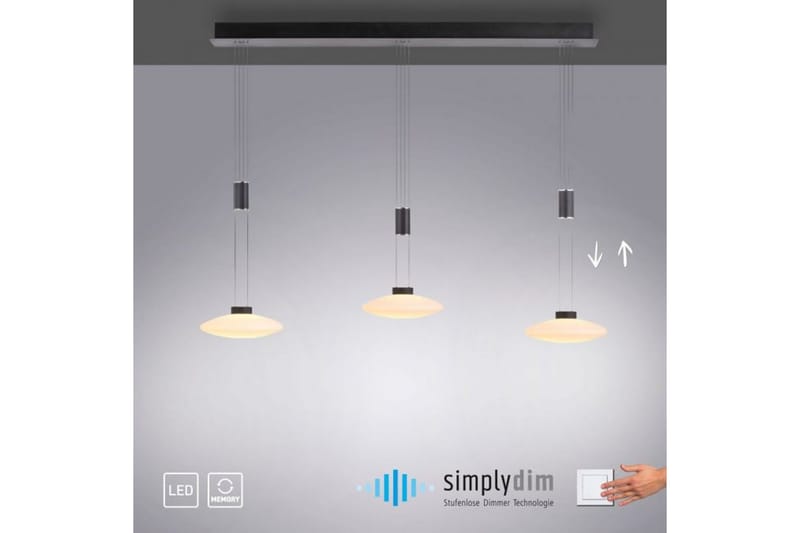 Lautada Paul Neuhaus Taklampa - Black - Belysning - Lampor & belysning inomhus - Fönsterlampa