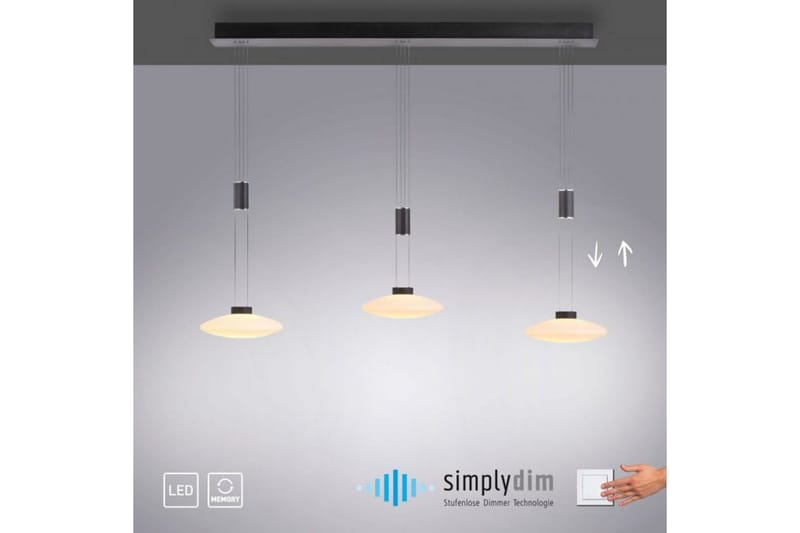 Lautada Paul Neuhaus Taklampa - Black - Belysning - Lampor & belysning inomhus - Fönsterlampa