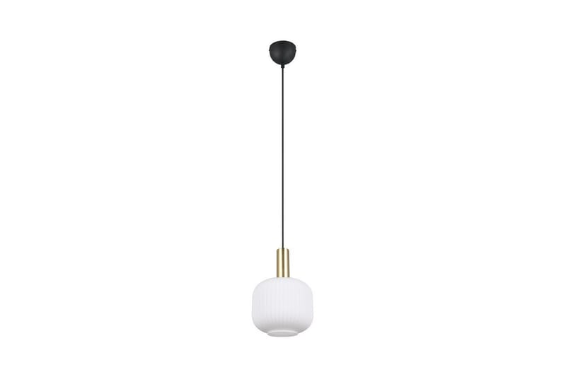 Pendel TRIO Diva 1-del, Mattmässing/vit - 1-del, Mattmässing/vit - Belysning - Lampor & belysning inomhus - Fönsterlampa