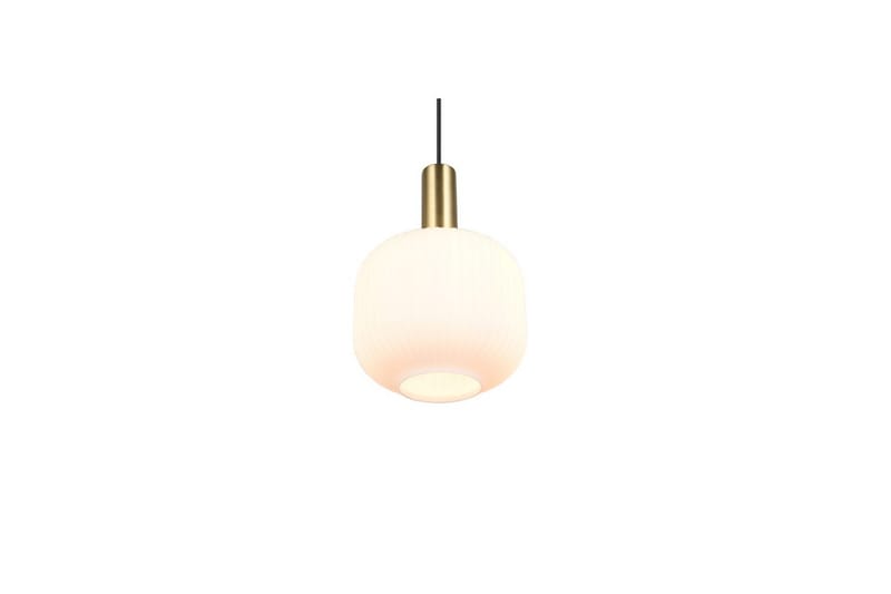 Pendel TRIO Diva 1-del, Mattmässing/vit - 1-del, Mattmässing/vit - Belysning - Lampor & belysning inomhus - Fönsterlampa