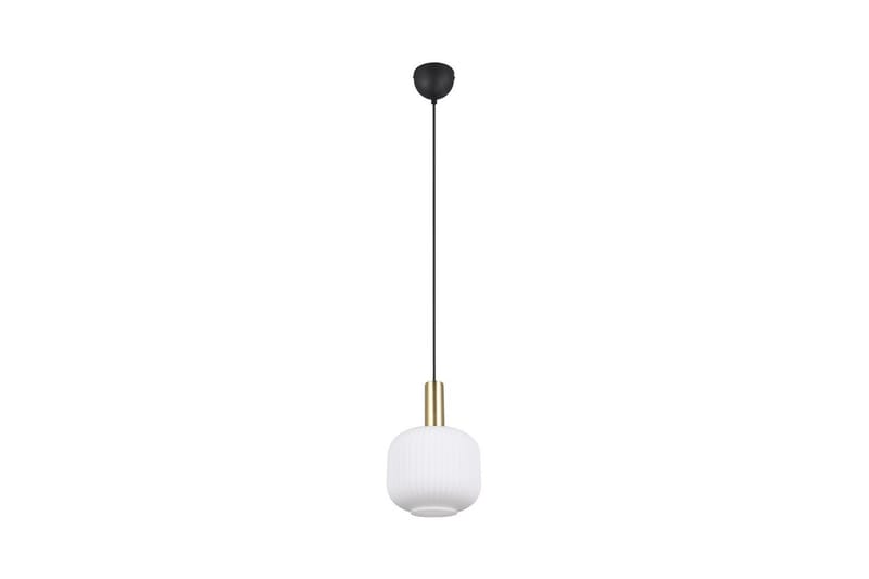 Pendel TRIO Diva 1-del, Mattmässing/vit - 1-del, Mattmässing/vit - Belysning - Lampor & belysning inomhus - Fönsterlampa