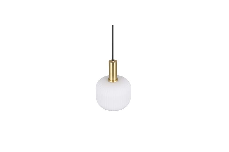 Pendel TRIO Diva 1-del, Mattmässing/vit - 1-del, Mattmässing/vit - Belysning - Lampor & belysning inomhus - Fönsterlampa