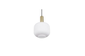 Pendel TRIO Diva 1-del, Mattmässing/vit - 1-del, Mattmässing/vit - Belysning - Lampor & belysning inomhus - Fönsterlampa