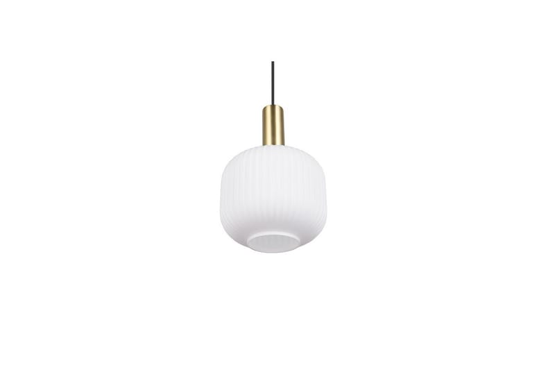Pendel TRIO Diva 1-del, Mattmässing/vit - 1-del, Mattmässing/vit - Belysning - Lampor & belysning inomhus - Fönsterlampa