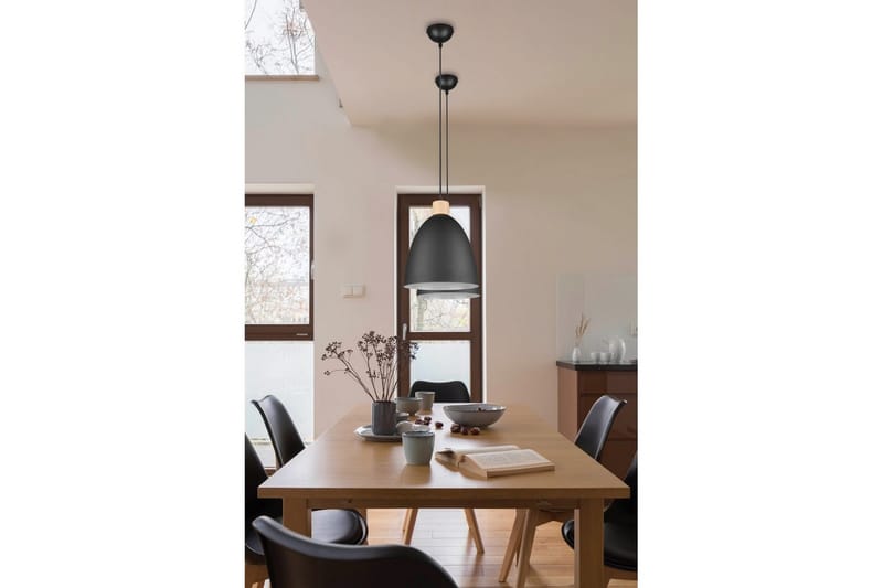 Pendel TRIO Jagger Mattsvart - Mattsvart - Belysning - Lampor & belysning inomhus - Fönsterlampa