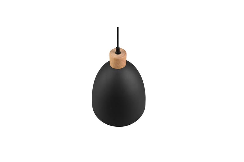 Pendel TRIO Jagger Mattsvart - Mattsvart - Belysning - Lampor & belysning inomhus - Fönsterlampa