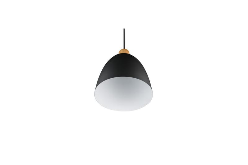 Pendel TRIO Jagger Mattsvart - Mattsvart - Belysning - Lampor & belysning inomhus - Fönsterlampa