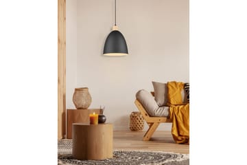 Pendel TRIO Jagger Mattsvart - Mattsvart - Belysning - Lampor & belysning inomhus - Fönsterlampa