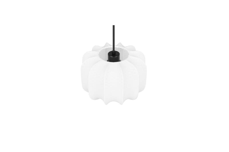 Pendel TRIO Madeline 25 cm - 25 cm - Belysning - Lampor & belysning inomhus - Fönsterlampa