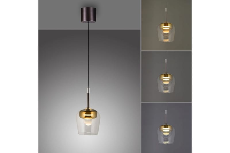 Q-Kon Paul Neuhaus Taklampa - GOLD - Belysning - Lampor & belysning inomhus - Fönsterlampa