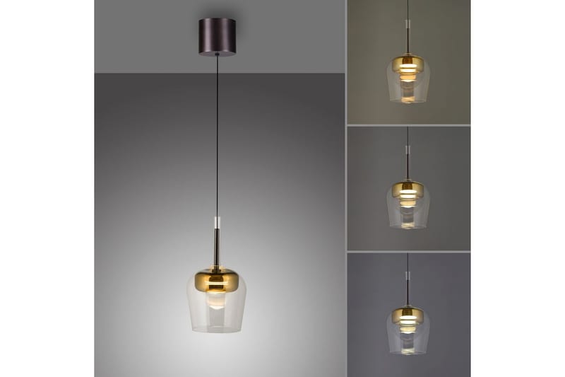 Q-Kon Paul Neuhaus Taklampa - GOLD - Belysning - Lampor & belysning inomhus - Fönsterlampa