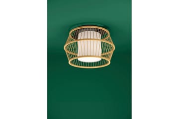 Takbelysning Eglo Monterroso Natur - Belysning - Lampor & belysning inomhus - Fönsterlampa