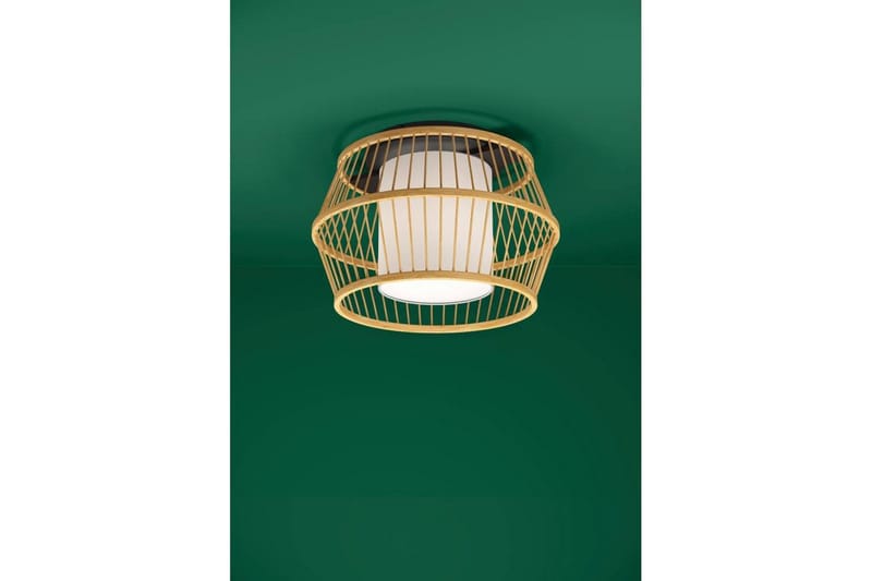 Takbelysning Eglo Monterroso Natur - Belysning - Lampor & belysning inomhus - Fönsterlampa