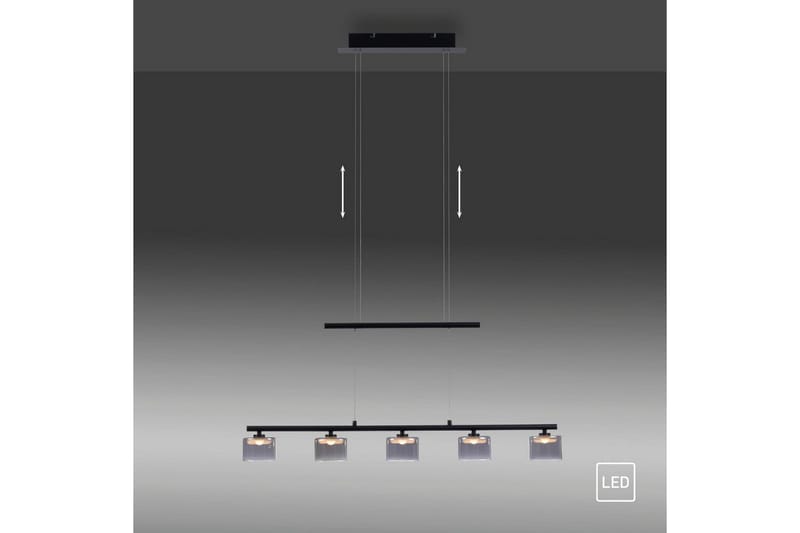 Taklampa Hydra - Svart - Belysning - Lampor & belysning inomhus - Fönsterlampa