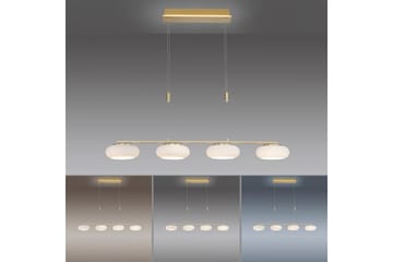 Taklampa Q-Etienne - 20x200x108,5 cm, Matt mässing - Belysning - Lampor & belysning inomhus - Fönsterlampa