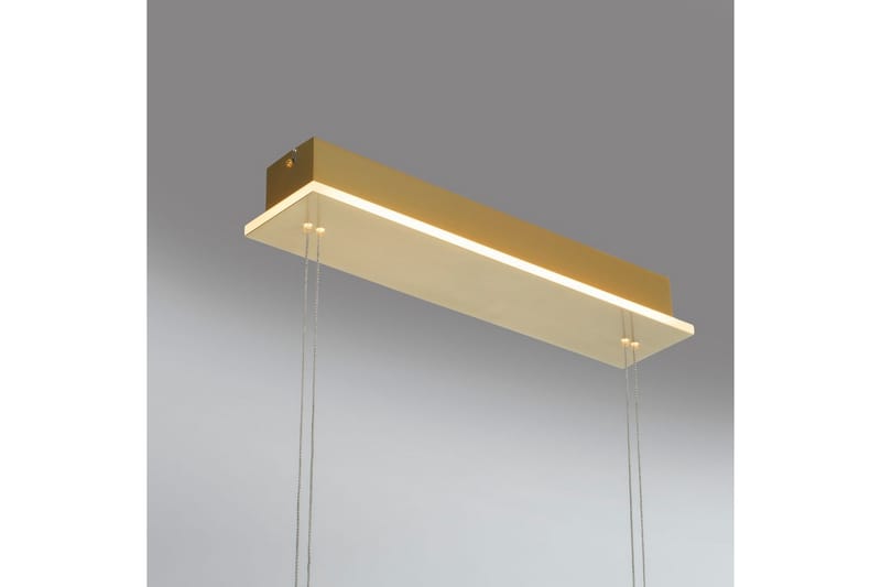 Taklampa Q-Etienne - 20x200x108,5 cm, Matt mässing - Belysning - Lampor & belysning inomhus - Fönsterlampa