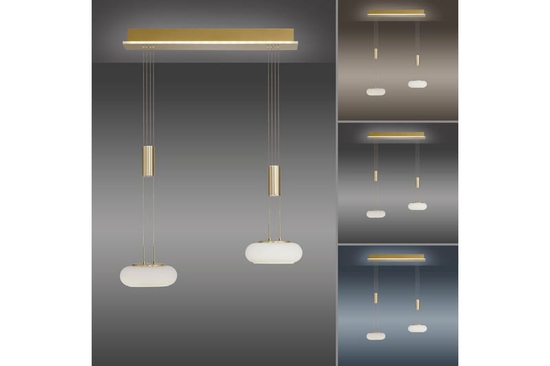 Taklampa Q-Etienne - 20x200x65 cm, Matt mässing - Belysning - Lampor & belysning inomhus - Fönsterlampa